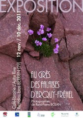 affiche_Frehel_berrien copie.jpg